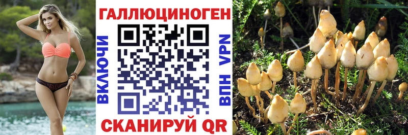 KRAKEN рабочий сайт  Задонск  Галлюциногенные грибы мухоморы  наркошоп 